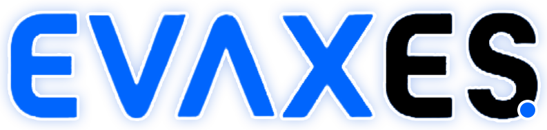 Evaxes - Social Media Marketing Agency & Website Development